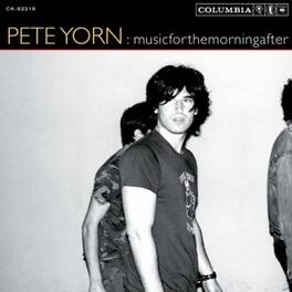 Pete Yorn - Musicforthemorningafter - VINYL LP