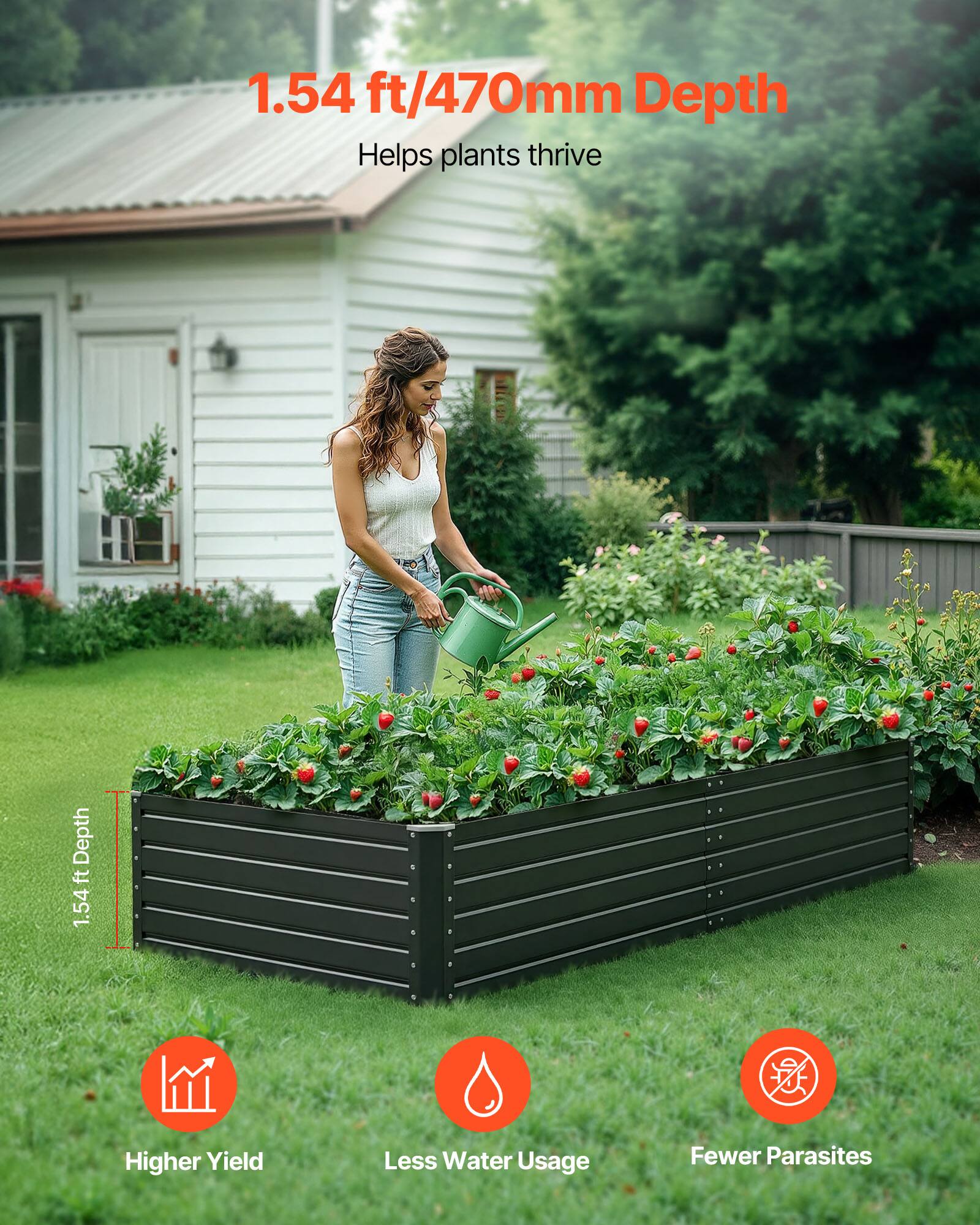 1.54 ft/470mm Depth  
Helps plants thrive  

Higher Yield  
Less Water Usage  
Fewer Parasites