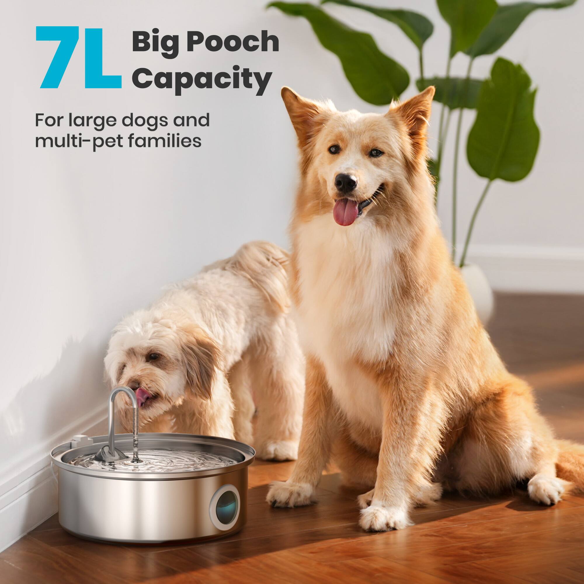 7L Big Pooch Capacity  
For large dogs and multi-pet families