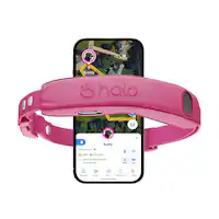 HALO - Collar 5, New Wireless Dog Fence & GPS Dog Collar, Subscription Required, Waterproof, One Size (5 colors) - Orchid - Front_Zoom