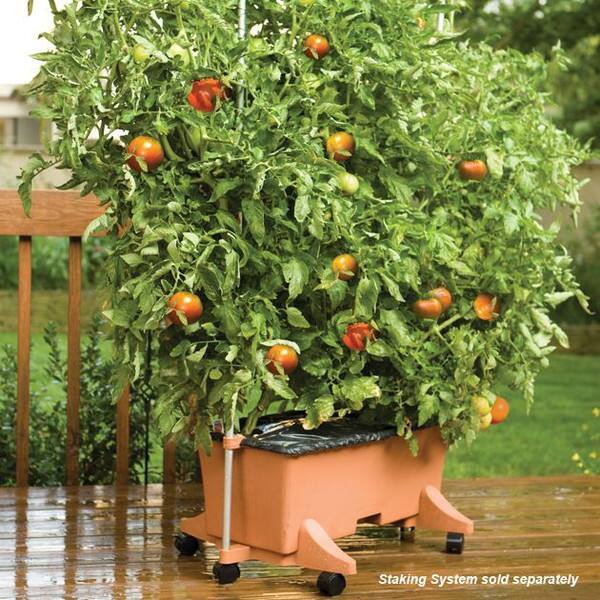 Staking System sold separately