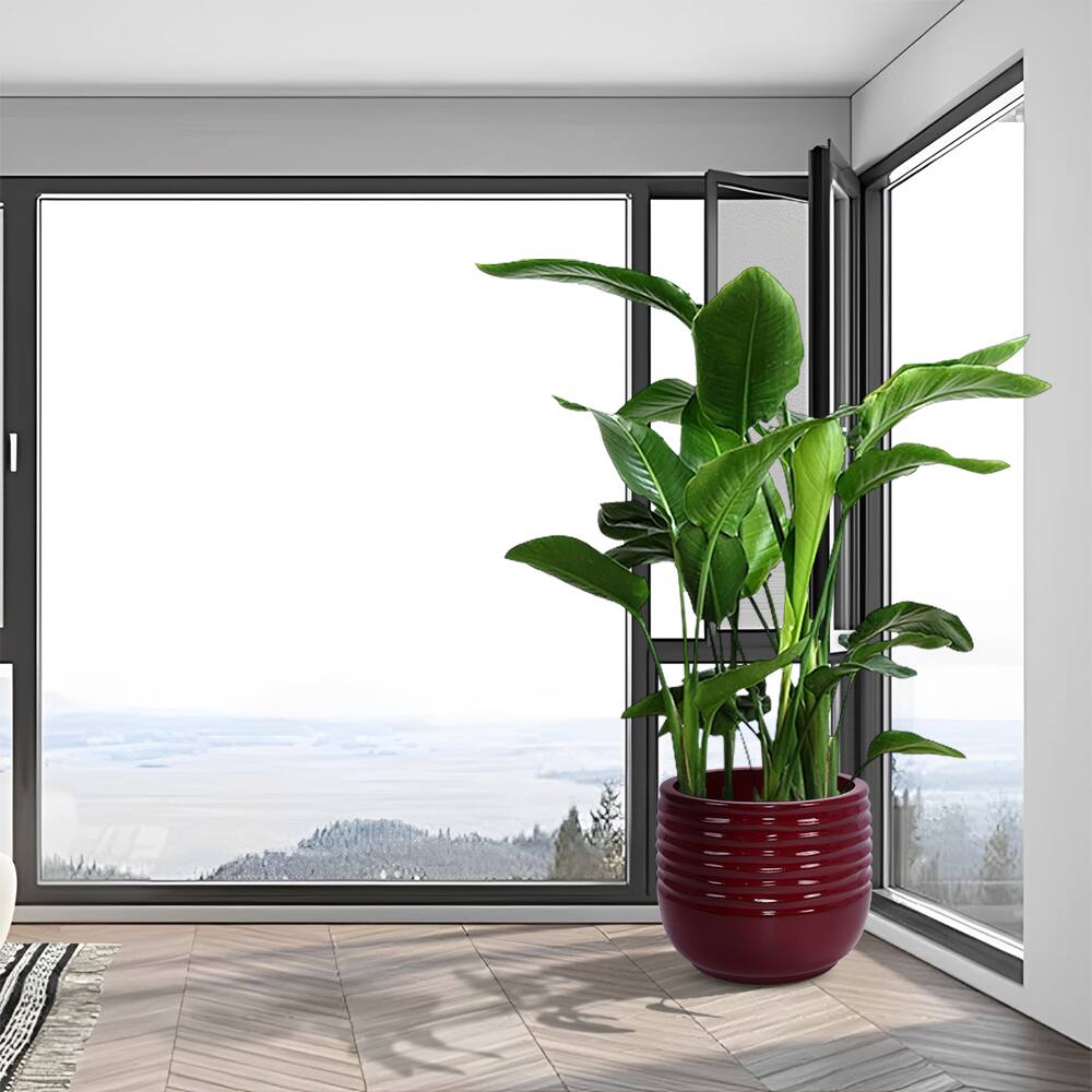 Alt View 5. Loheer - Loheer Ceramic Planter Set of 3, Handmade Glazed Red Clay Flower Pots, 15 11 8 Inch Indoor Outdoor Planters.
