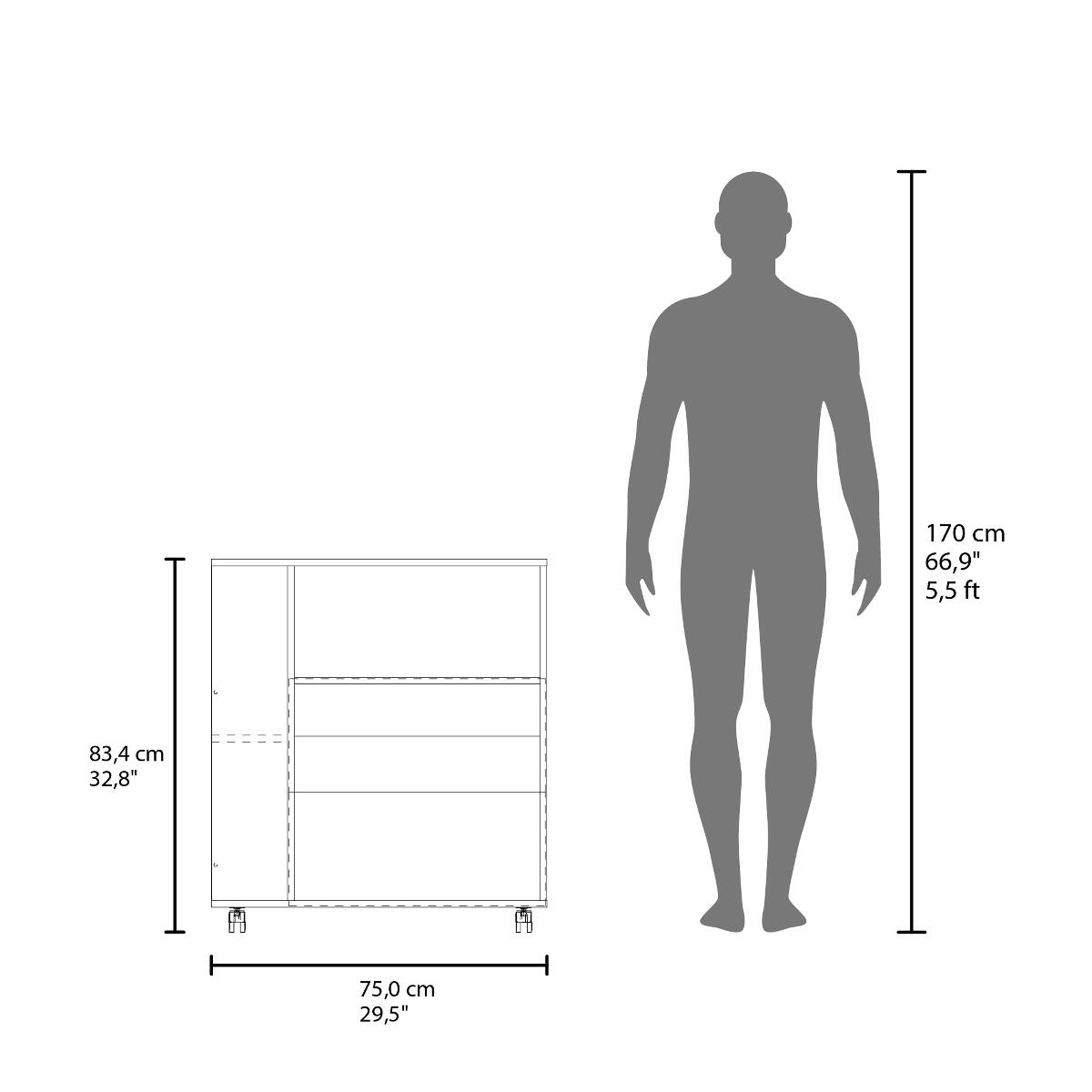 170 cm 66,9" 5,5ft  
83,4 cm 32,8"  
75,0 cm 29,5"