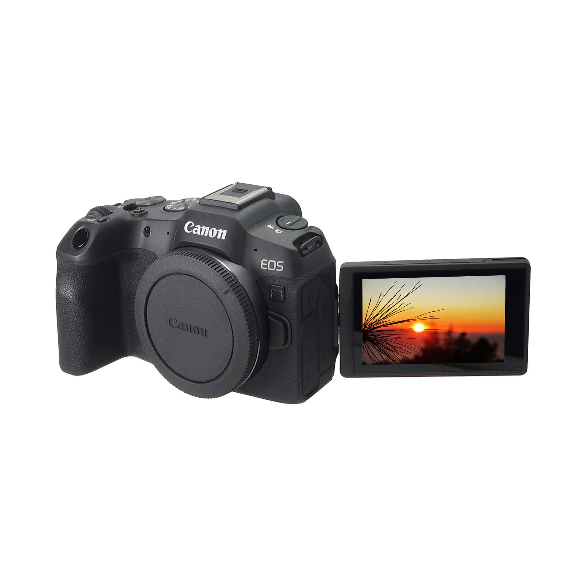 EOS R8 Mirrorless Camera with Canon RF 24 105mm f/4 7.1 IS STM