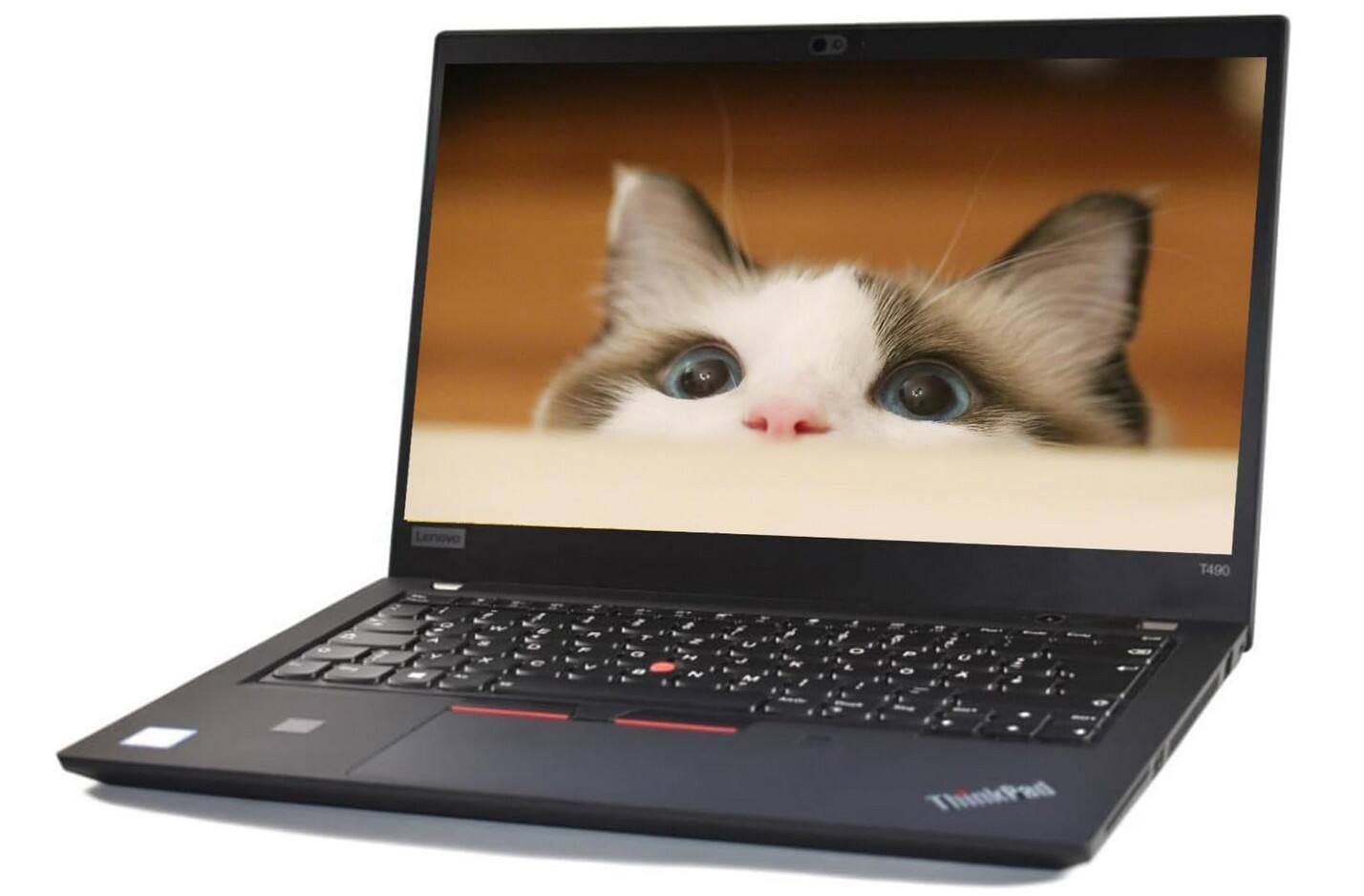Lenovo T490 - ThinkPad