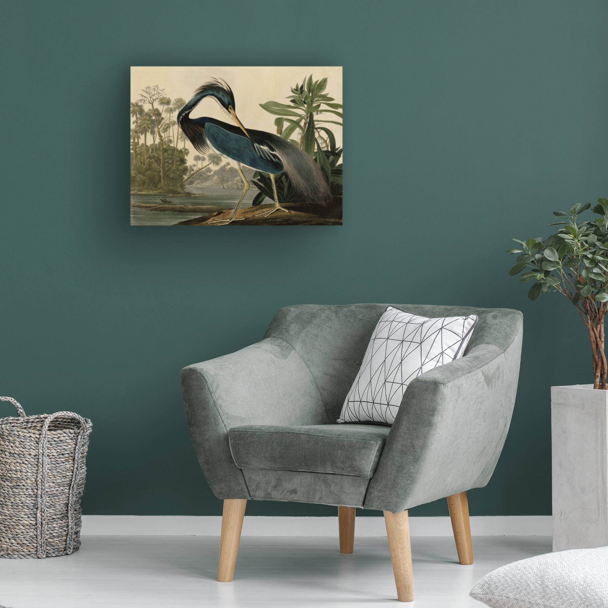 Back. Trademark Fine Art - John James Audubon 'Louisiana Heron' Canvas Art - Multicolor.