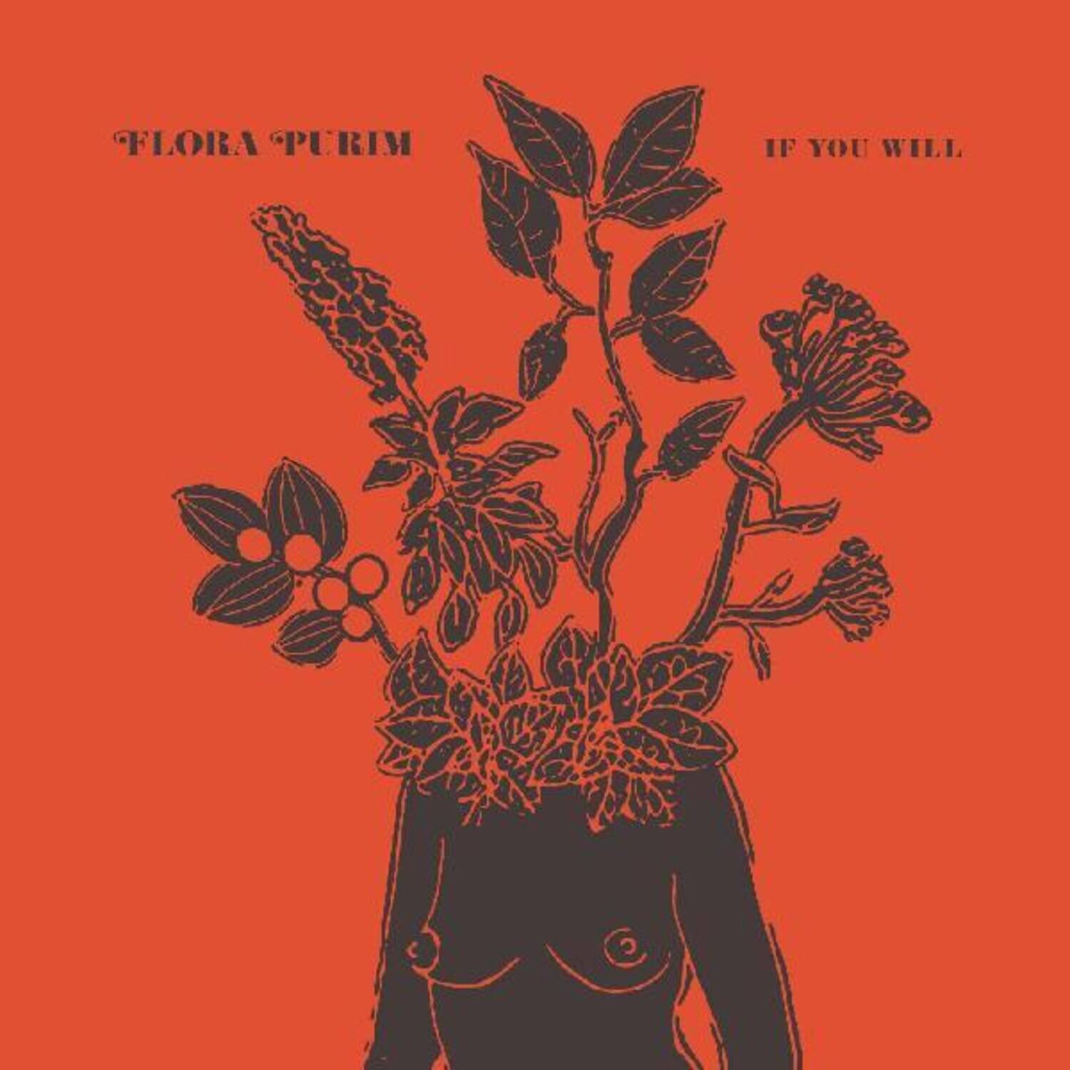 Flora Purim - If You Will   - VINYL LP price history on PriceWatchPro