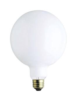 Westinghouse - 100 W G40 Globe Incandescent Bulb E26 (Medium) White 1 pk