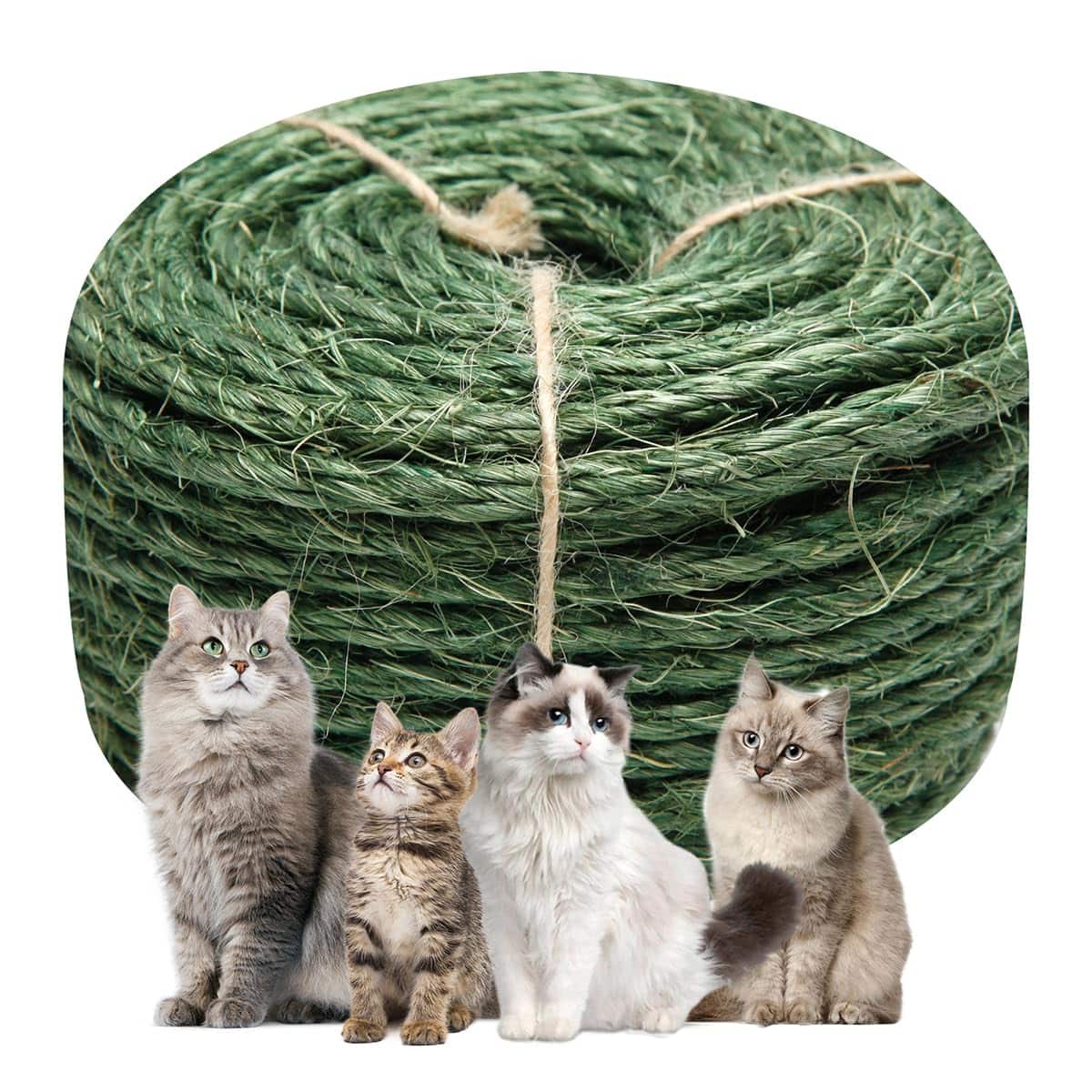 Hirose Alice - Cat Sisal Rope 164-feet For Scratcher Repair And Replace Diy Twine Tree Tower Carpet Mat Kicker House Pet C - Green 1/4 inch by 32ft