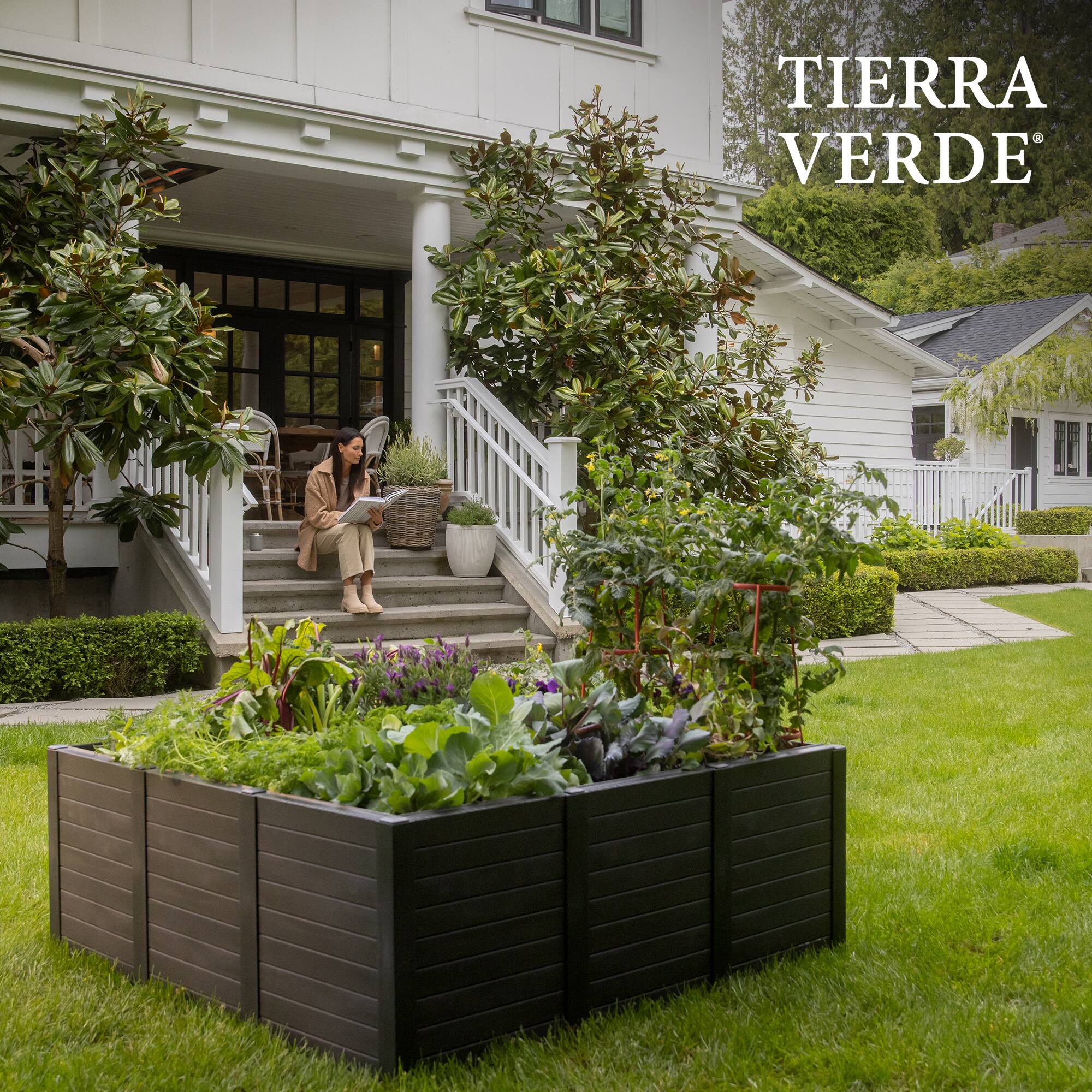 TIERRA VERDE