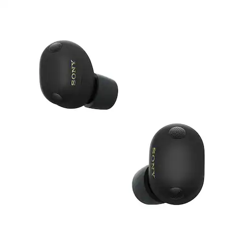 Earbud & In-Ear Headphones