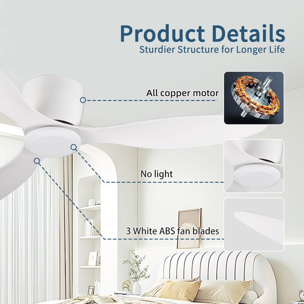 Product Details  
Sturdier Structure for Longer Life  

- All copper motor  
- No light  
- 3 White ABS fan blades