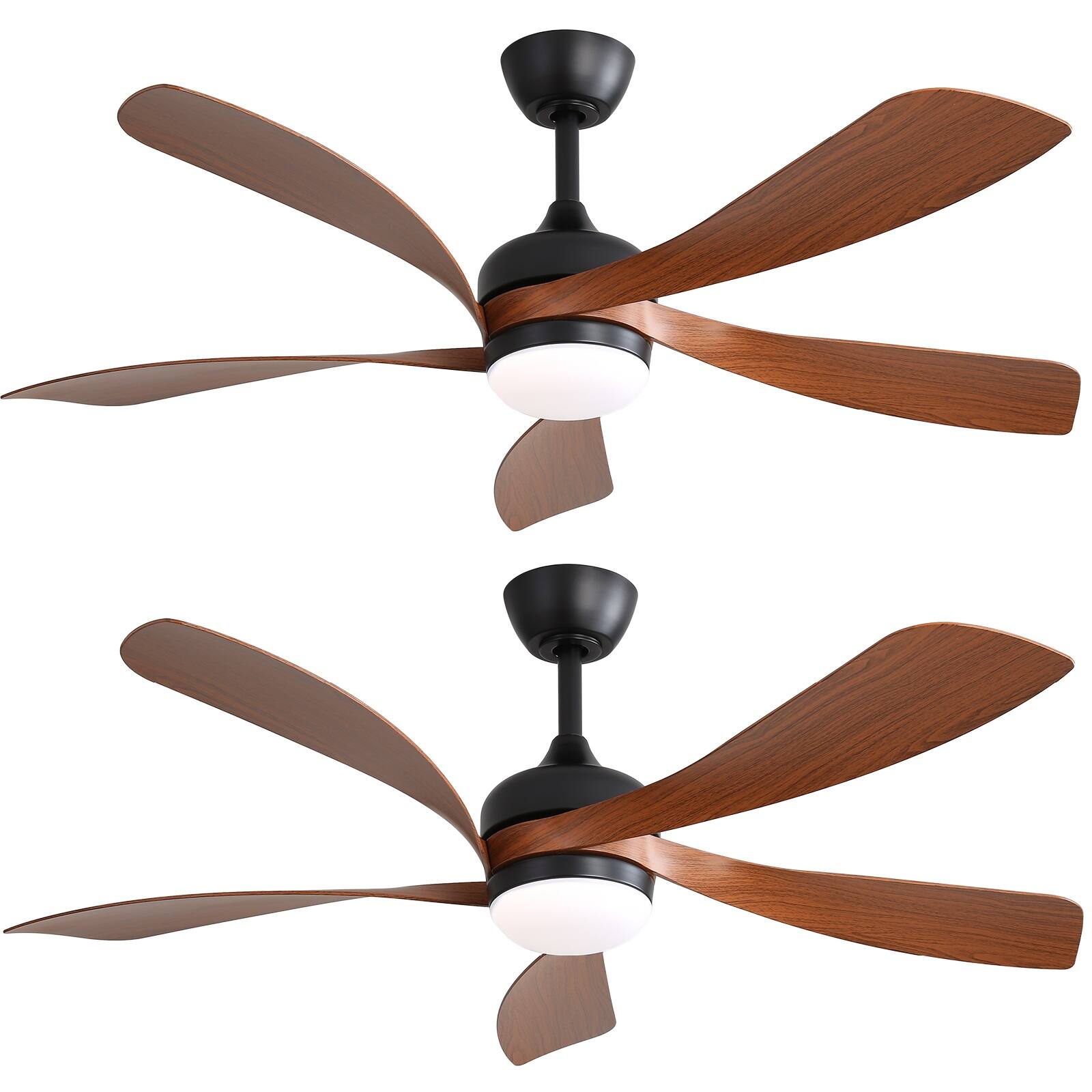 Black Deep Brown - 2 Pack