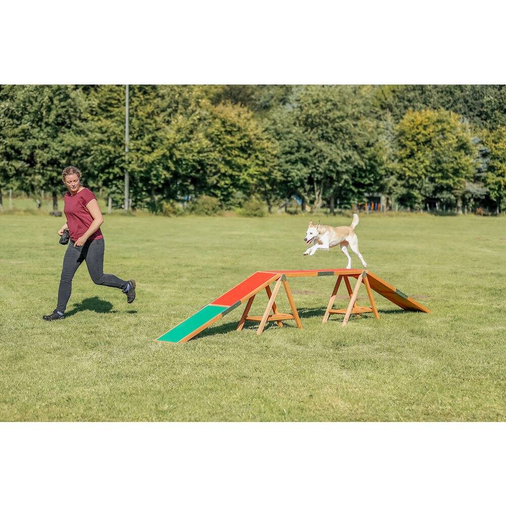 Left. TRIXIE - Dog Agility Dogwalk, Obstacle Training - Green/Red.