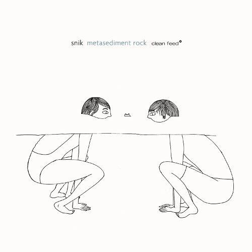 

Metasediment Rock [LP] - VINYL