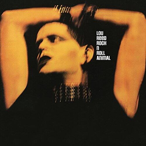 Rock N' Roll Animal [LP] [VINYL] price history on PriceWatchPro