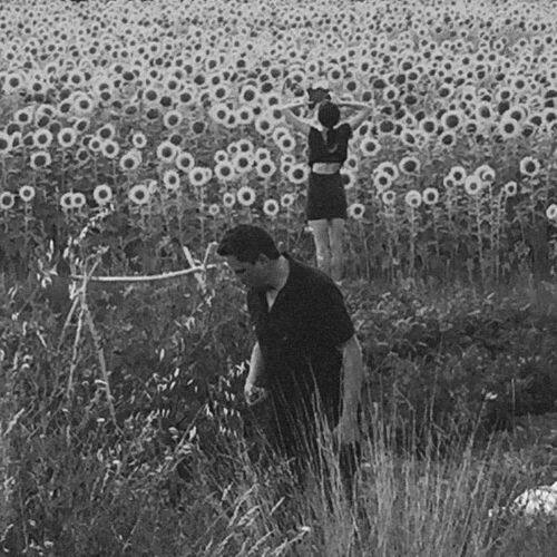 

Jesu/Sun Kil Moon [LP] - VINYL