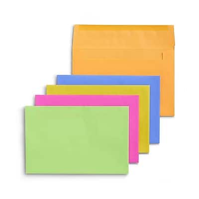 Front. Staples - Booklet Envelopes, 8 3/4" x 5 3/4", 50/Box - Assorted Colors.