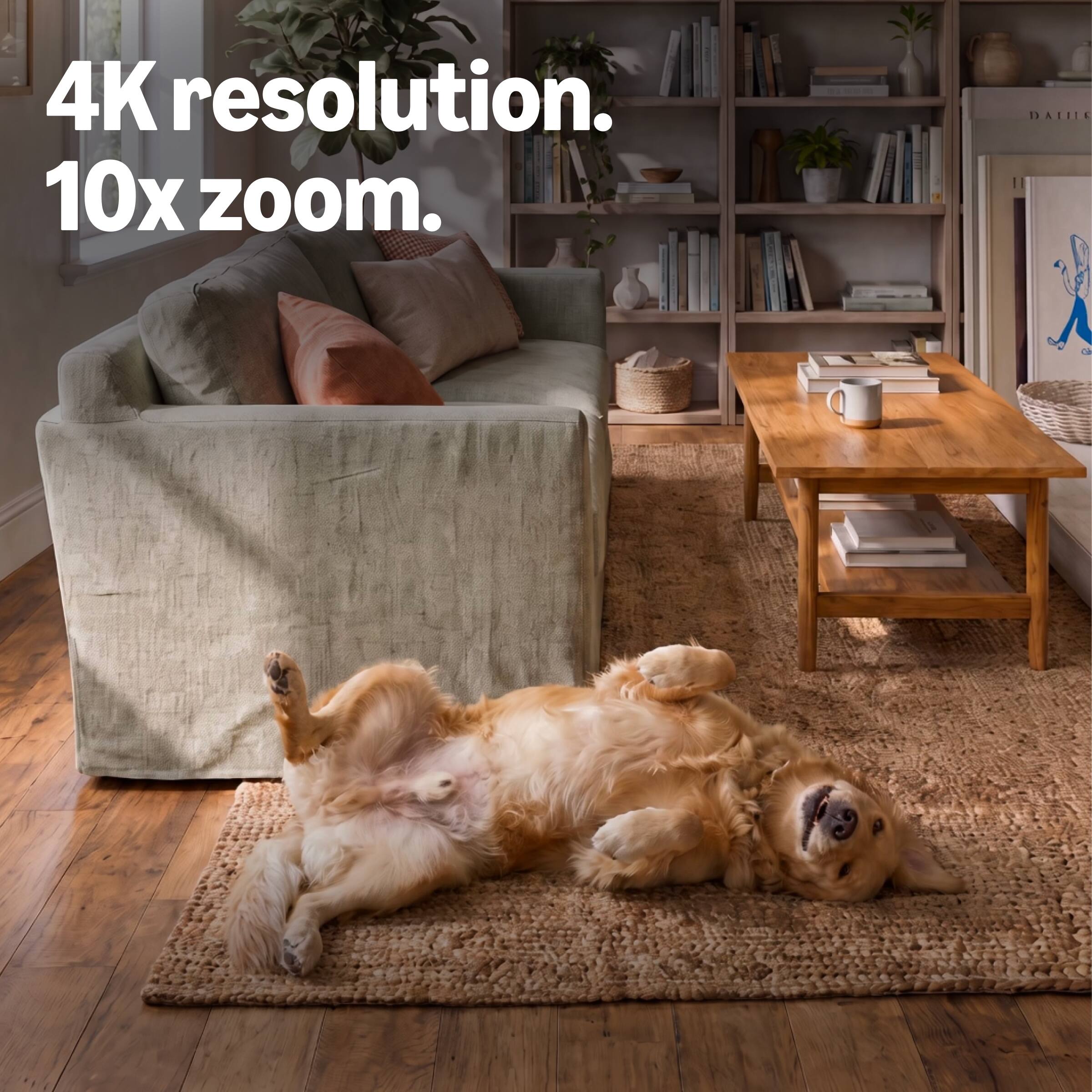 Blink Mini 4K+ (2 pack) (newest model), plug in indoor camera, 4K video ...