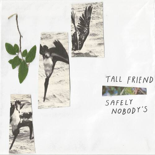 Tall Friend - Safely Nobody's - VINYL LP