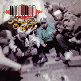 Diamond D & Psychotic Neurotics - Stunts Blunts & Hip Hop - VINYL LP
