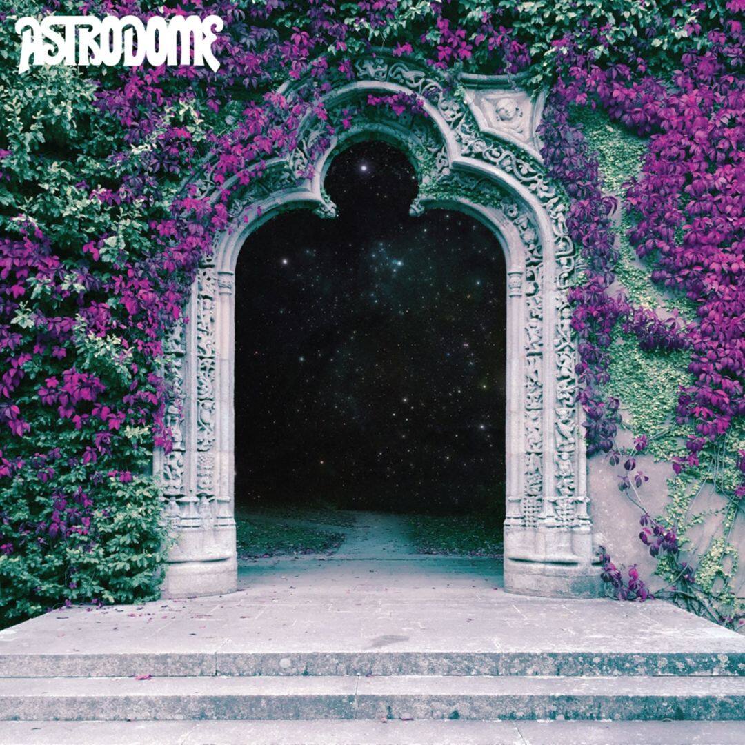 Best Buy Astrodome [LP] VINYL