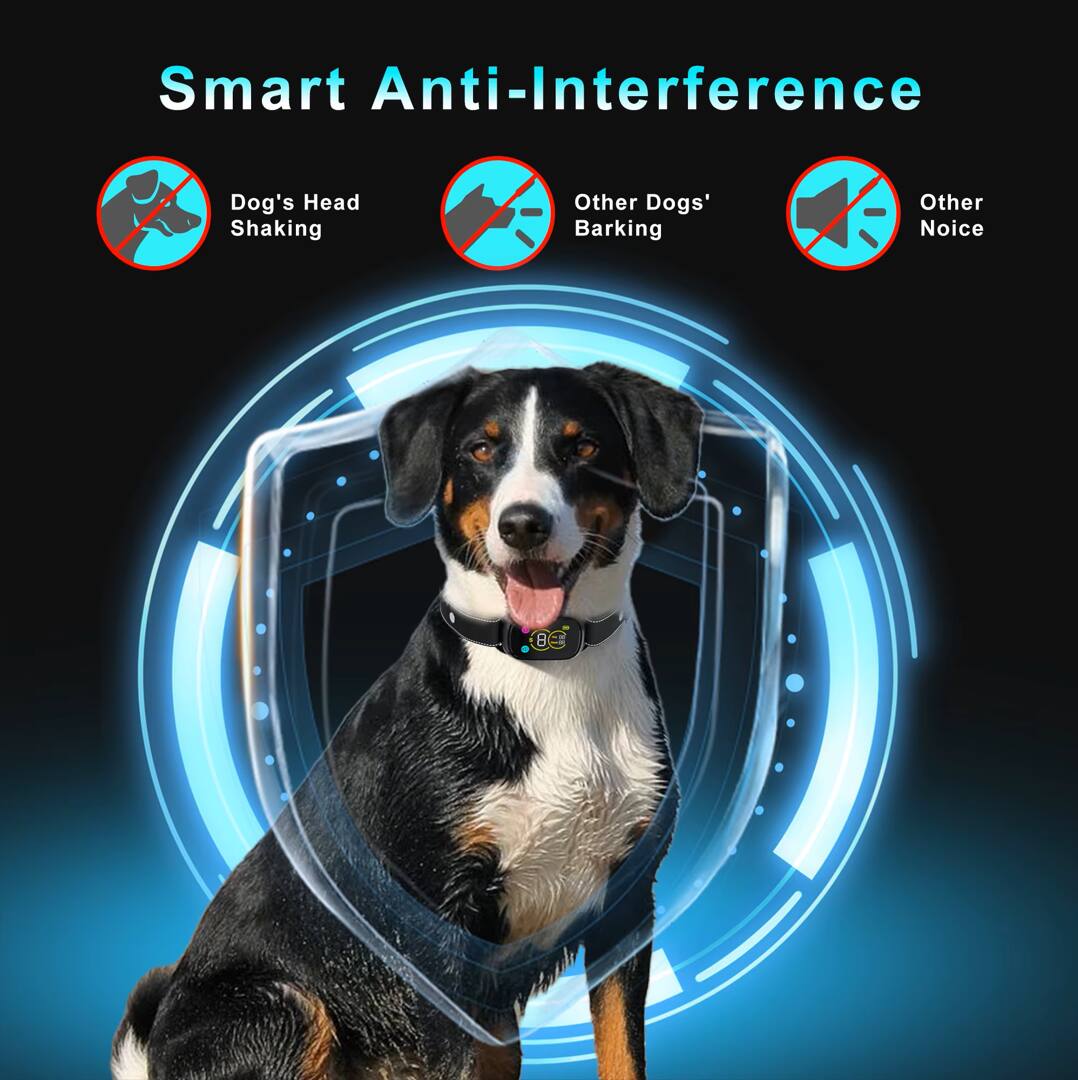 Smart Anti-Interference  
Dog's Head Shaking  
Other Dogs' Barking  
Other Noise