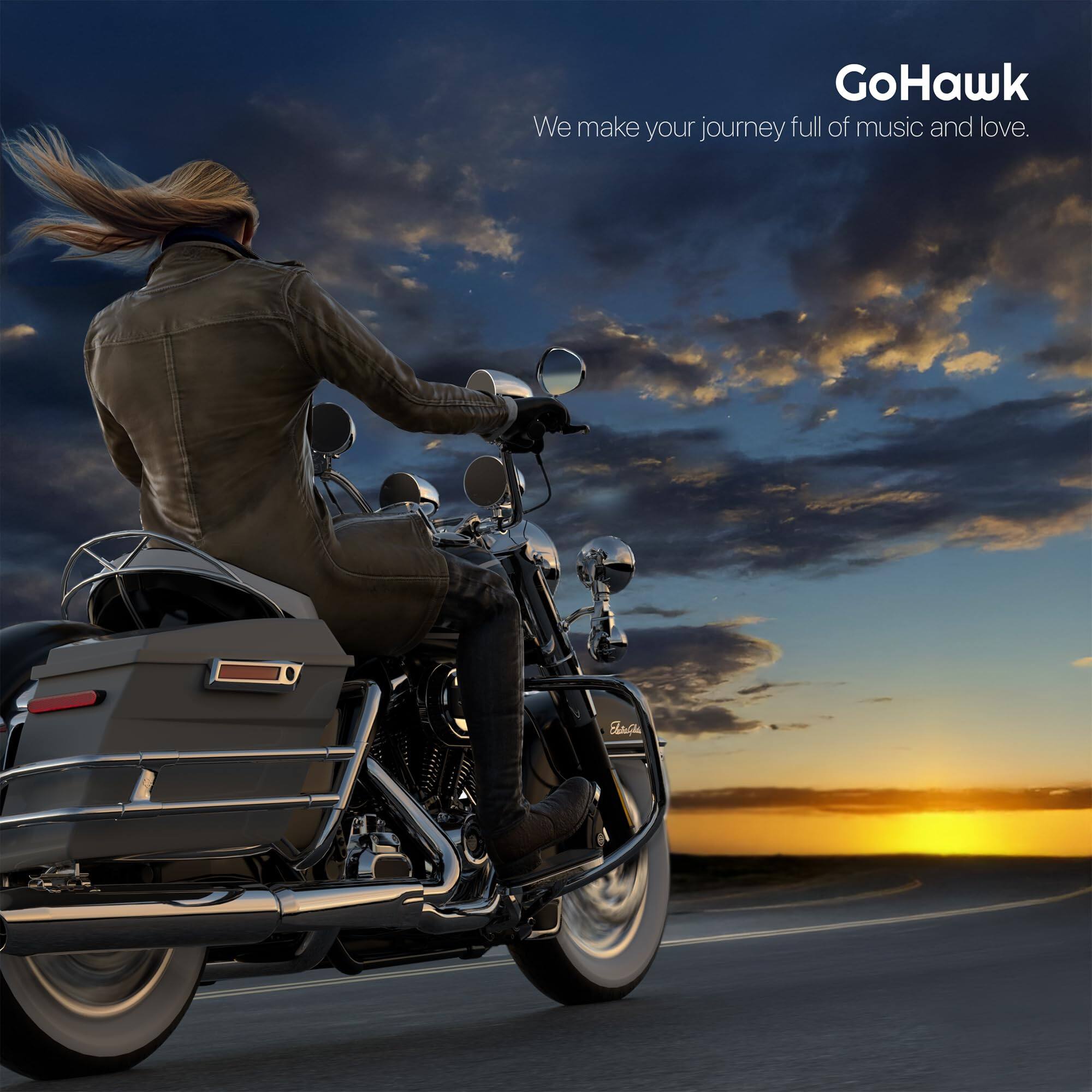 GoHawk  
We make your journey full of music and love.