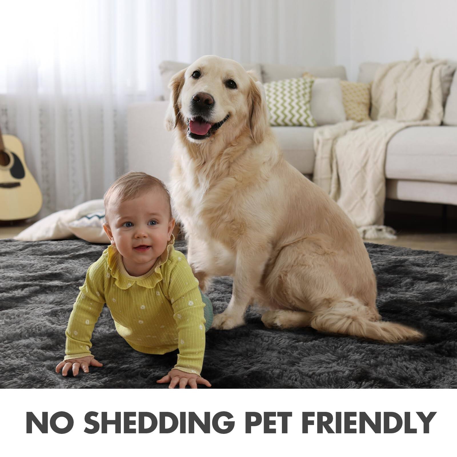 NO SHEDDING PET FRIENDLY
