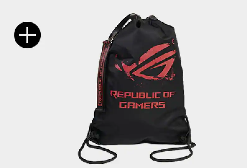+ REPUBLIC OF GAMERS