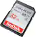 Alt View 12. SanDisk - Ultra PLUS 32GB SDHC UHS-I Memory Card - Black/Gray/Red.