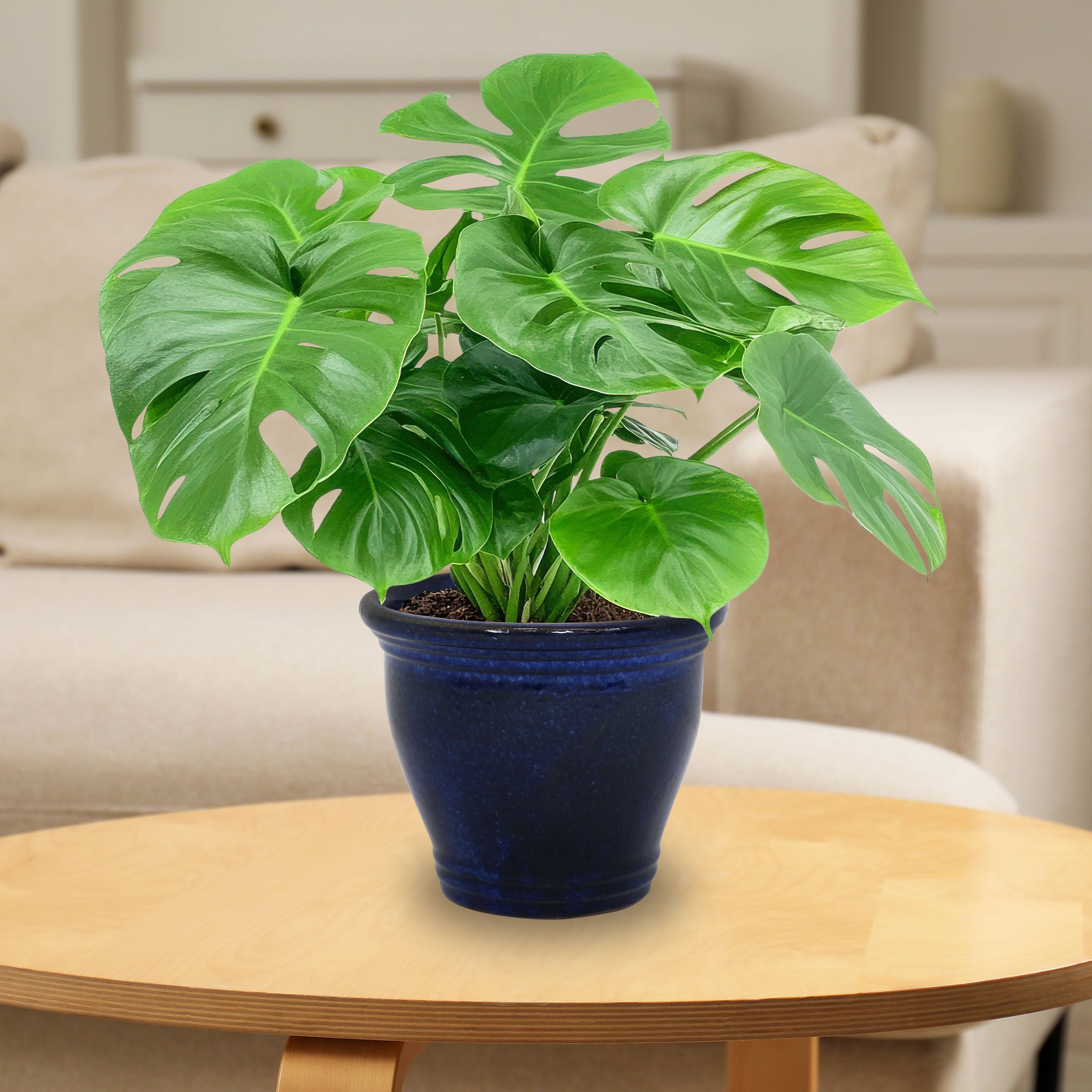 Alt View 7. Sunnydaze - 11 in Studio Glazed Ceramic Planter - Set of 2 - Imperial Blue.