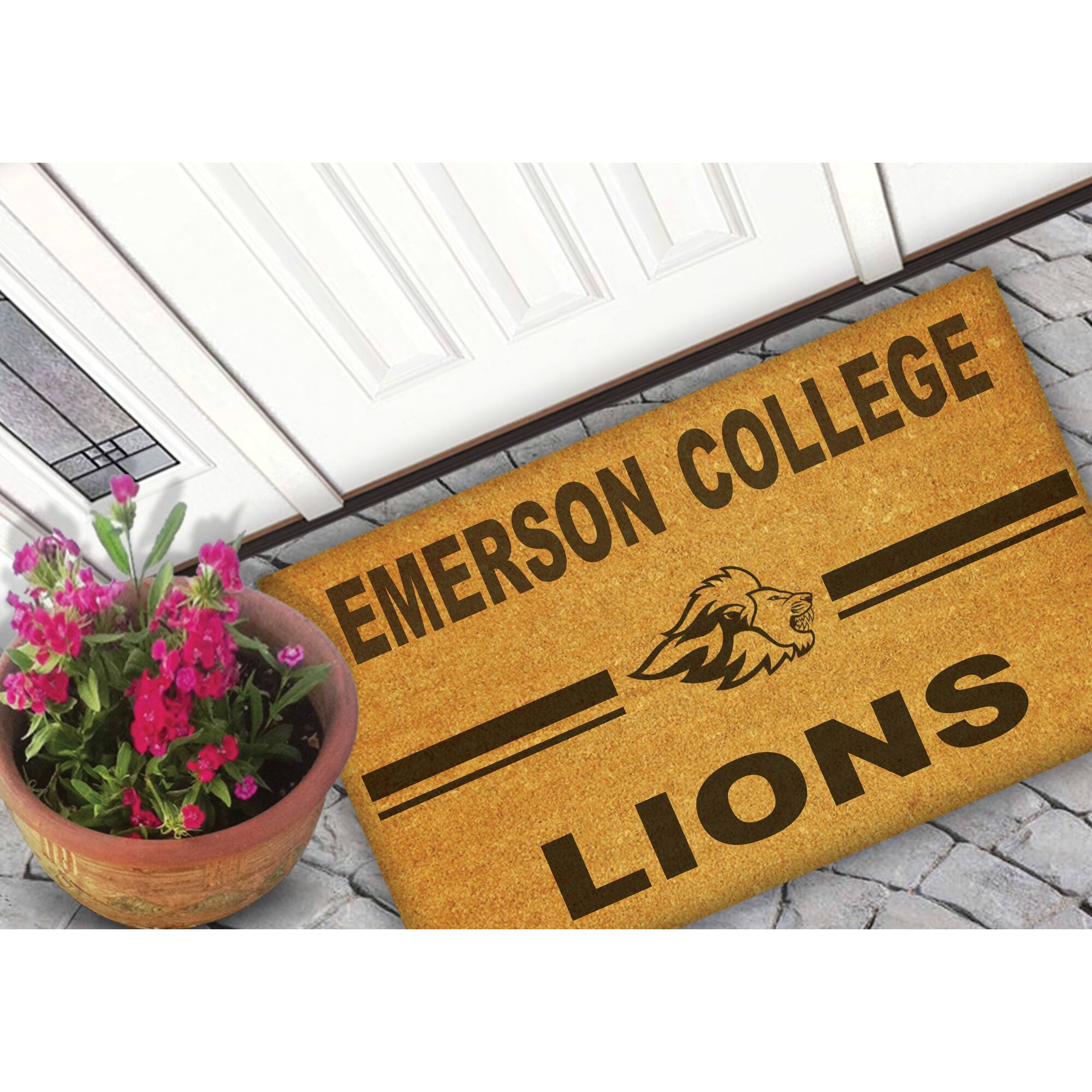 EMERSON COLLEGE  
LIONS