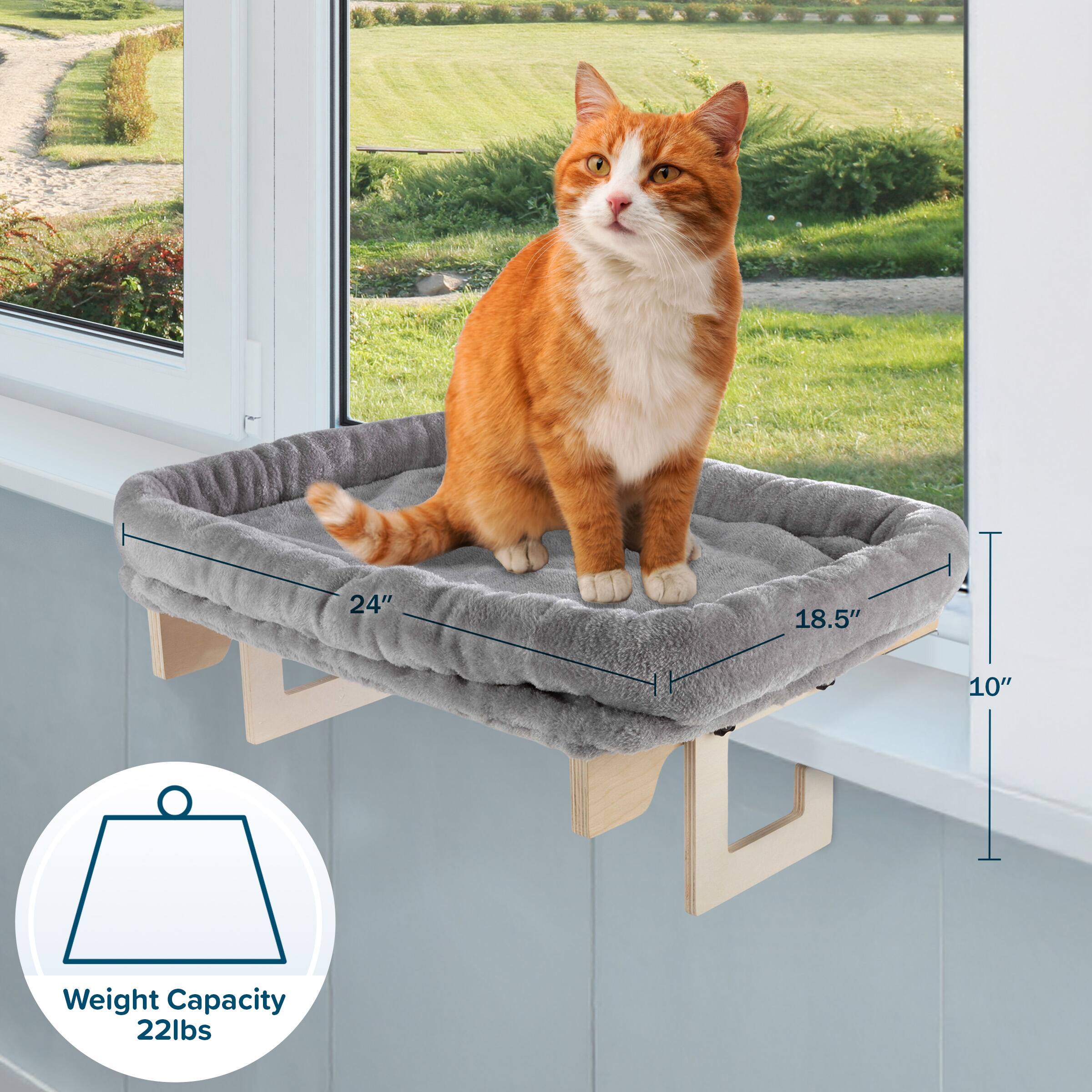 24" x 18.5" x 10"  
Weight Capacity: 22lbs