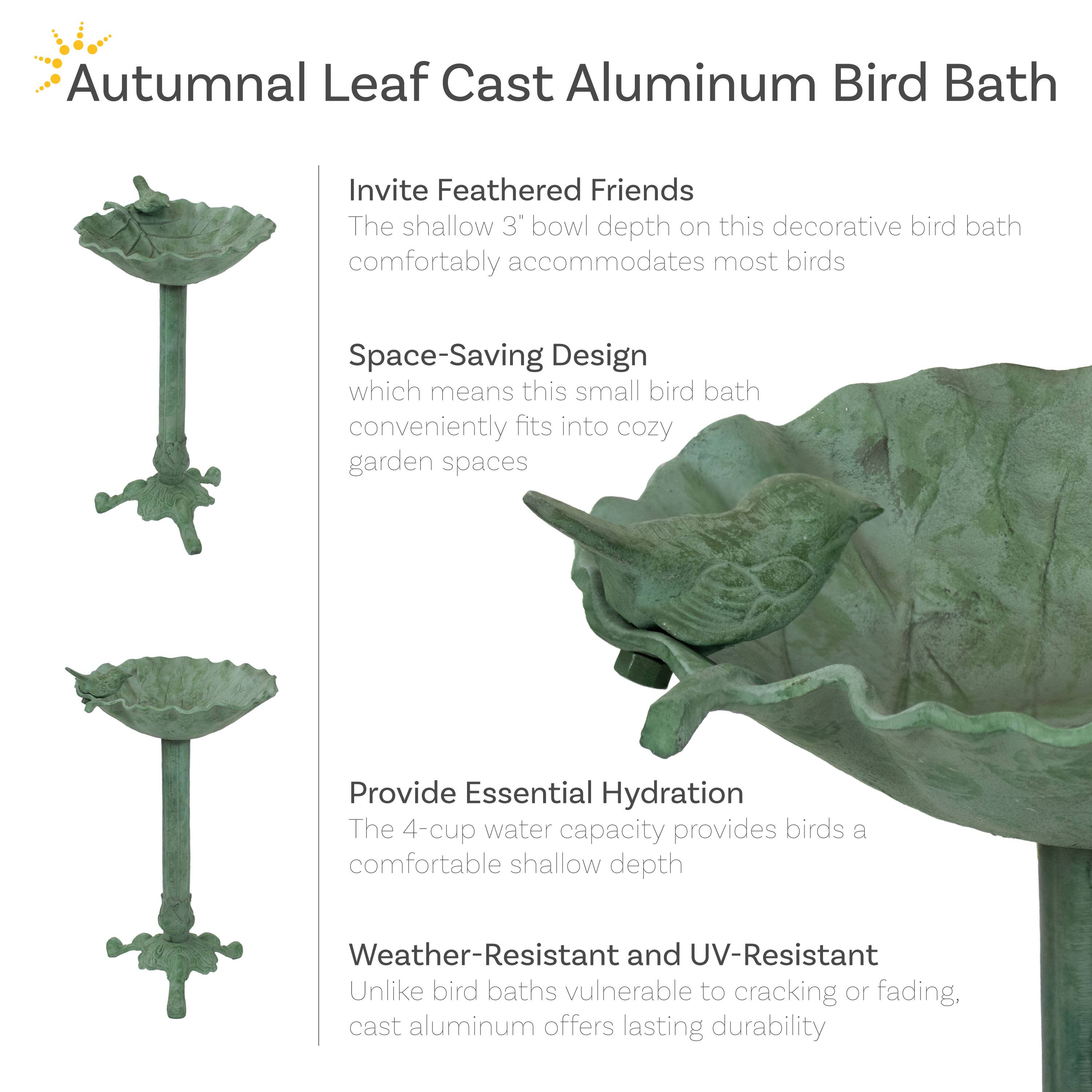 Autumnal Leaf Cast Aluminum Bird Bath

Invite Feathered Friends  
The shallow 3" bowl depth on this decorative bird bath comfortably accommodates most birds.

Space-Saving Design  
This small bird bath conveniently fits into cozy garden spaces.

Provide Essential Hydration  
The 4-cup water capacity provides birds a comfortable shallow depth.

Weather-Resistant and UV-Resistant  
Unlike bird baths vulnerable to cracking or fading, cast aluminum offers lasting durability.