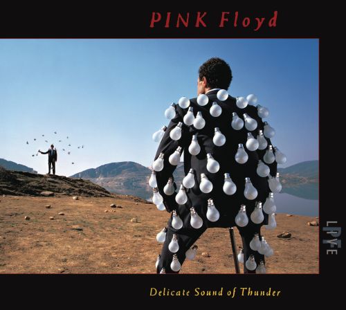  Delicate Sound of Thunder [CD]