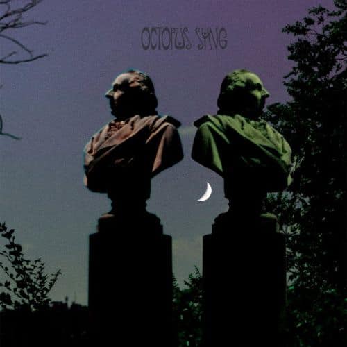 Hollow Ghost/Rochelle Salt [LP] - VINYL