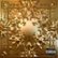 Front Standard. Watch the Throne [Deluxe Edition] [CD] [PA].