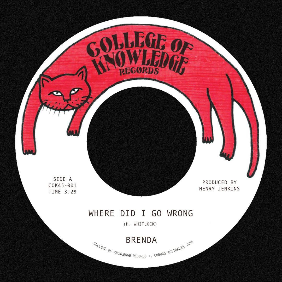 Where Did I Go Wrong [7 inch Vinyl Disc] price history on PriceWatchPro