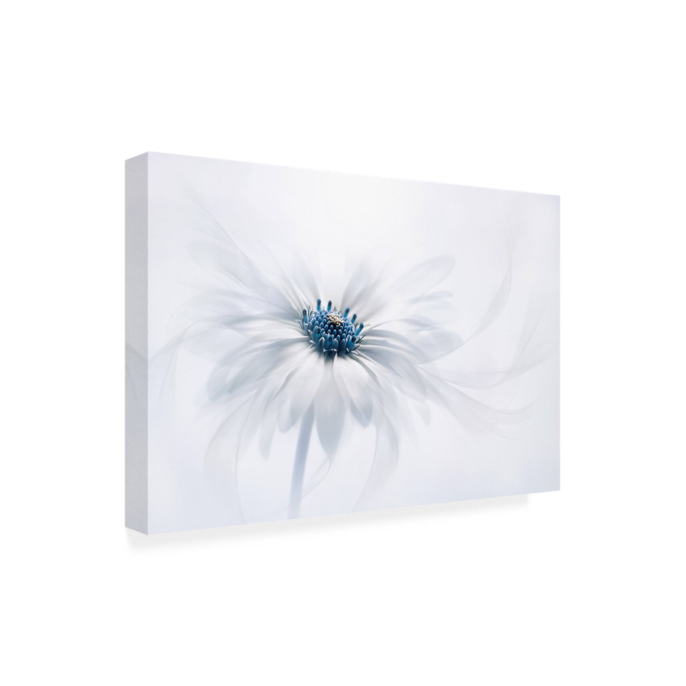 Front. Trademark Fine Art - Jacky Parker 'Serenity' Canvas Art - Multicolor.