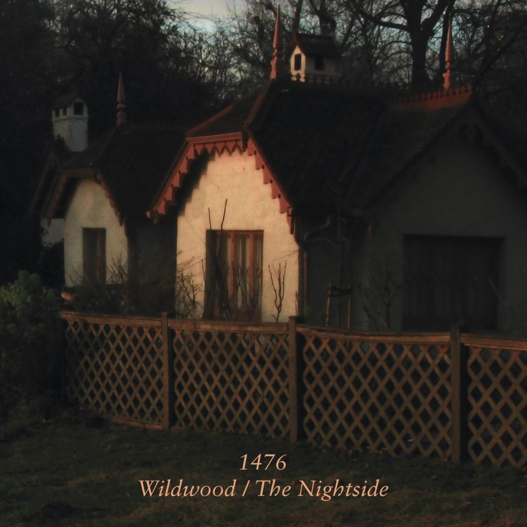 Wildwood/The Nightside [LP] - VINYL