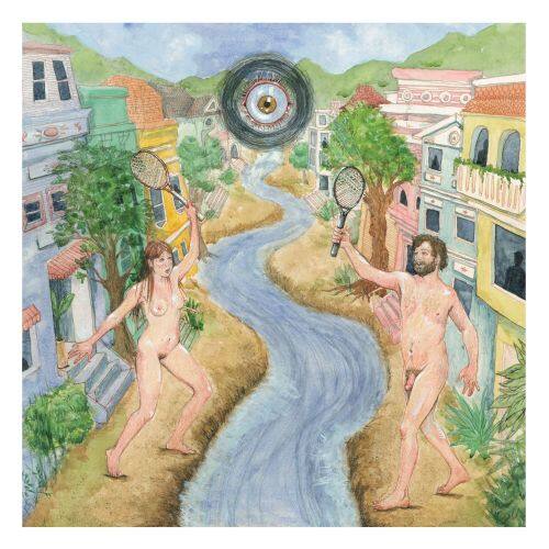 

Animal Races [LP] - VINYL