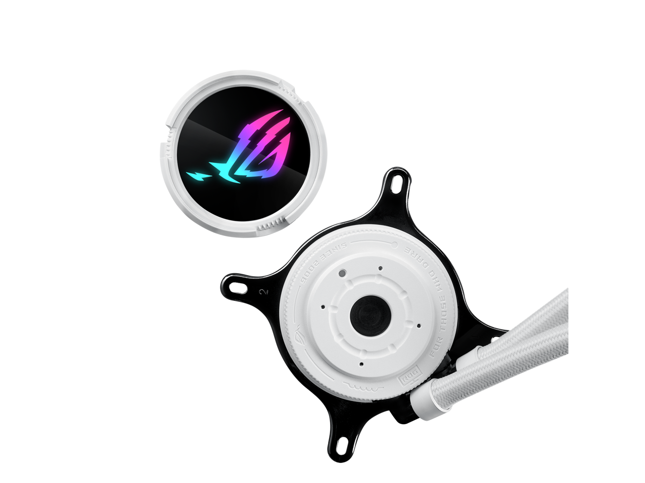 AALLA SINCE 2006  
DHM BSDH FUR ROG  
FOR THOSE WHO DARE  
SINCE 2006