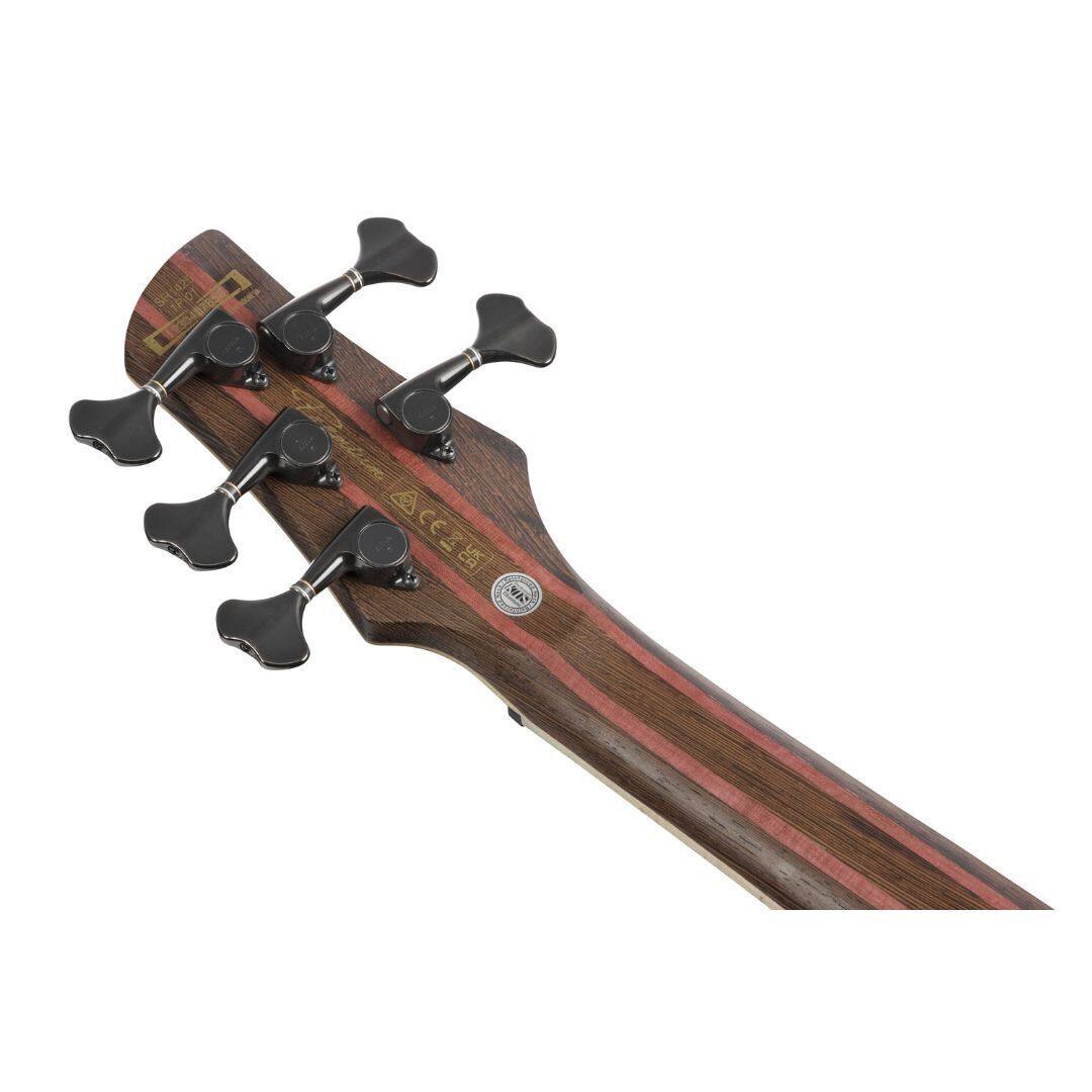 Angle. Ibanez - Ibanez SR1425BCGL SR Premium 5  String Electric Bass, Caribbean Green Low Gloss.