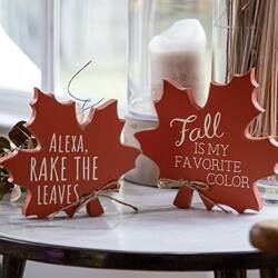 ALEXA, RAKE THE LEAVES  
Fall IS MY FAVORITE COLOR