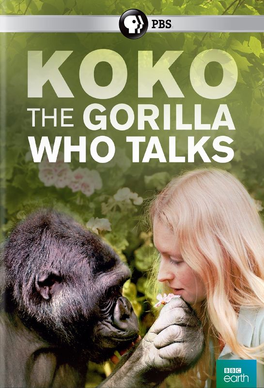 Koko: The Gorilla Who Talks [DVD] [2015]