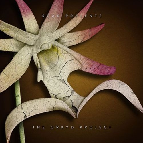 

The Orkyd Project [LP] - VINYL