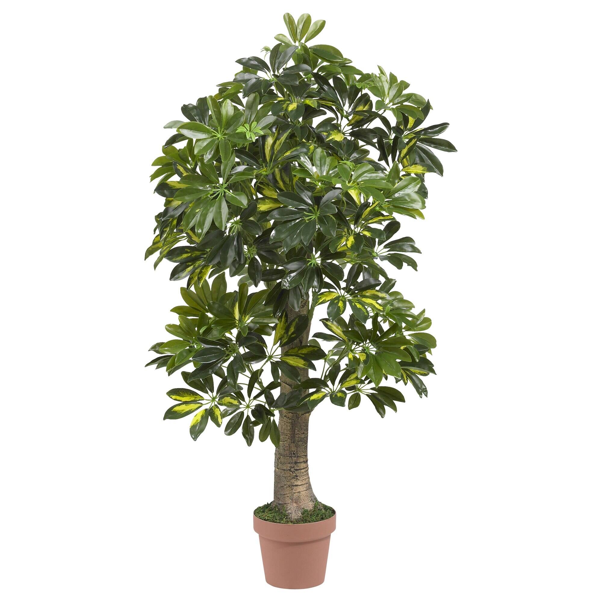 Front. BreeBe - 4' Schefflera Tree (Real Touch) - Green.