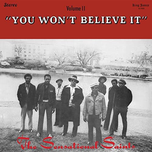 Sensational Saints - You Won't Believe It   - VINYL LP price history on PriceWatchPro
