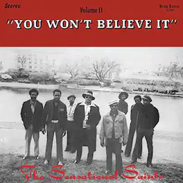 Sensational Saints - You Won't Believe It - VINYL LP